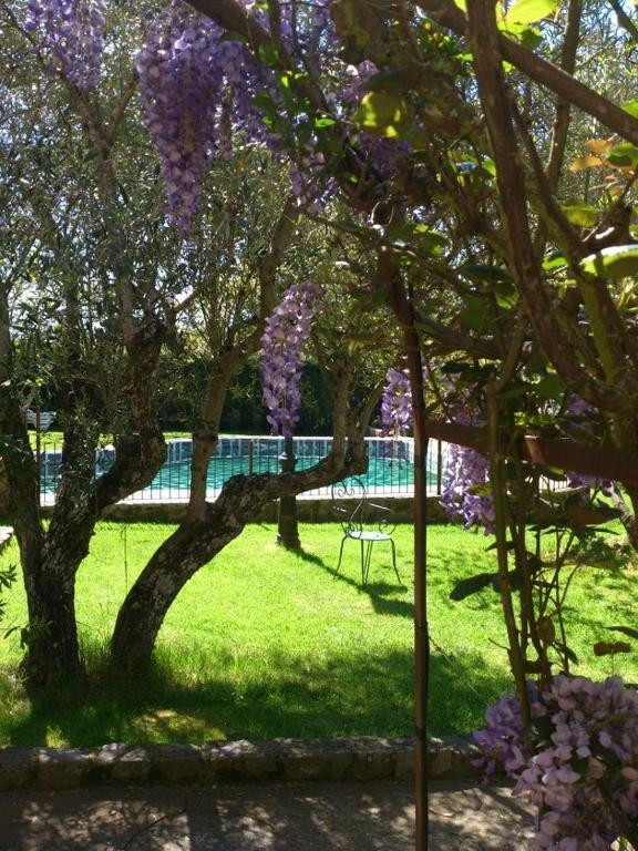 Puerto Roque Turismo Rural Valencia de Alcántara Exterior foto